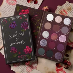 A Shadow of Secrets