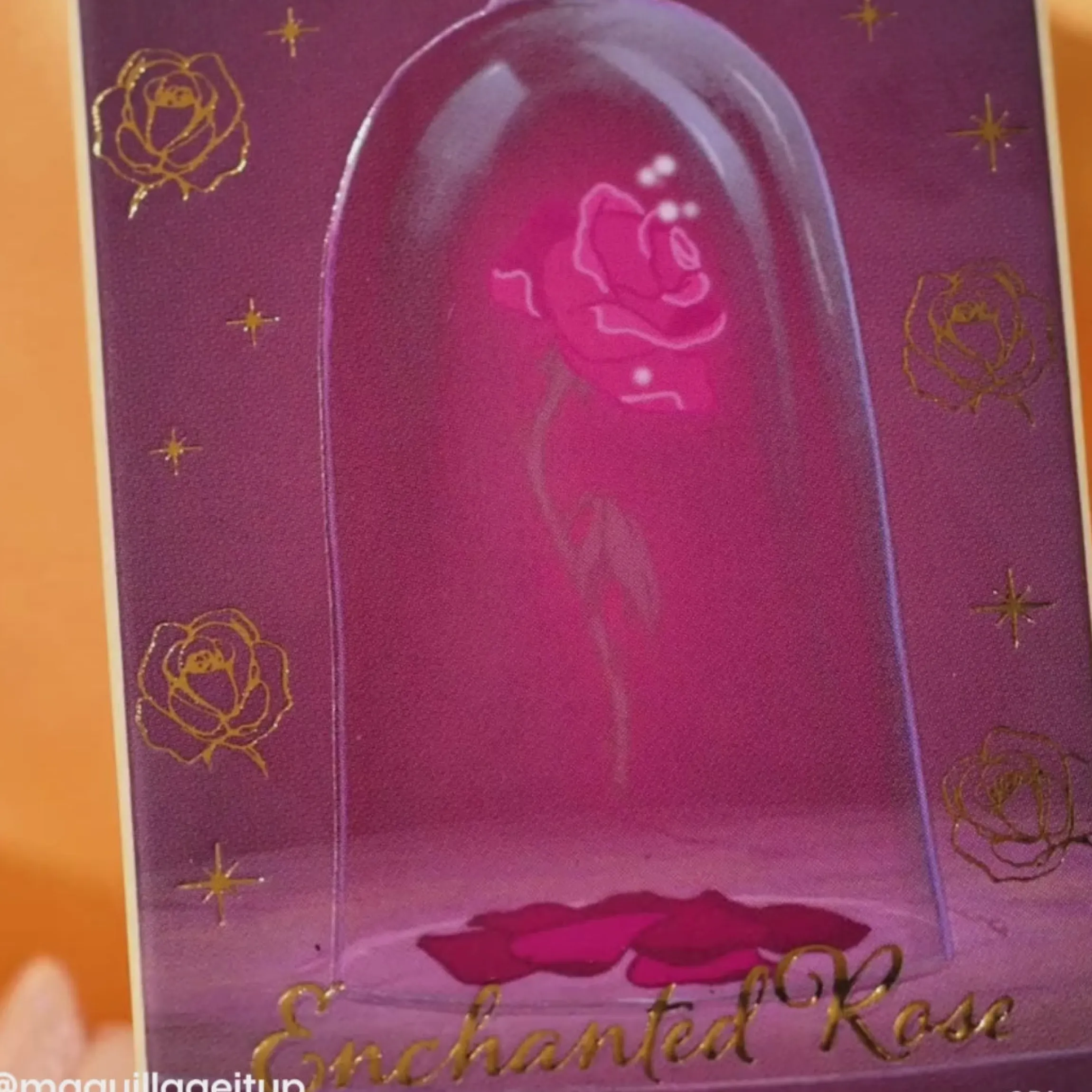 Enchanted Rose